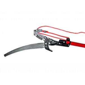 FOARFECA PT. POMI CU PARGHIE + FIERASTRAU TG - EU