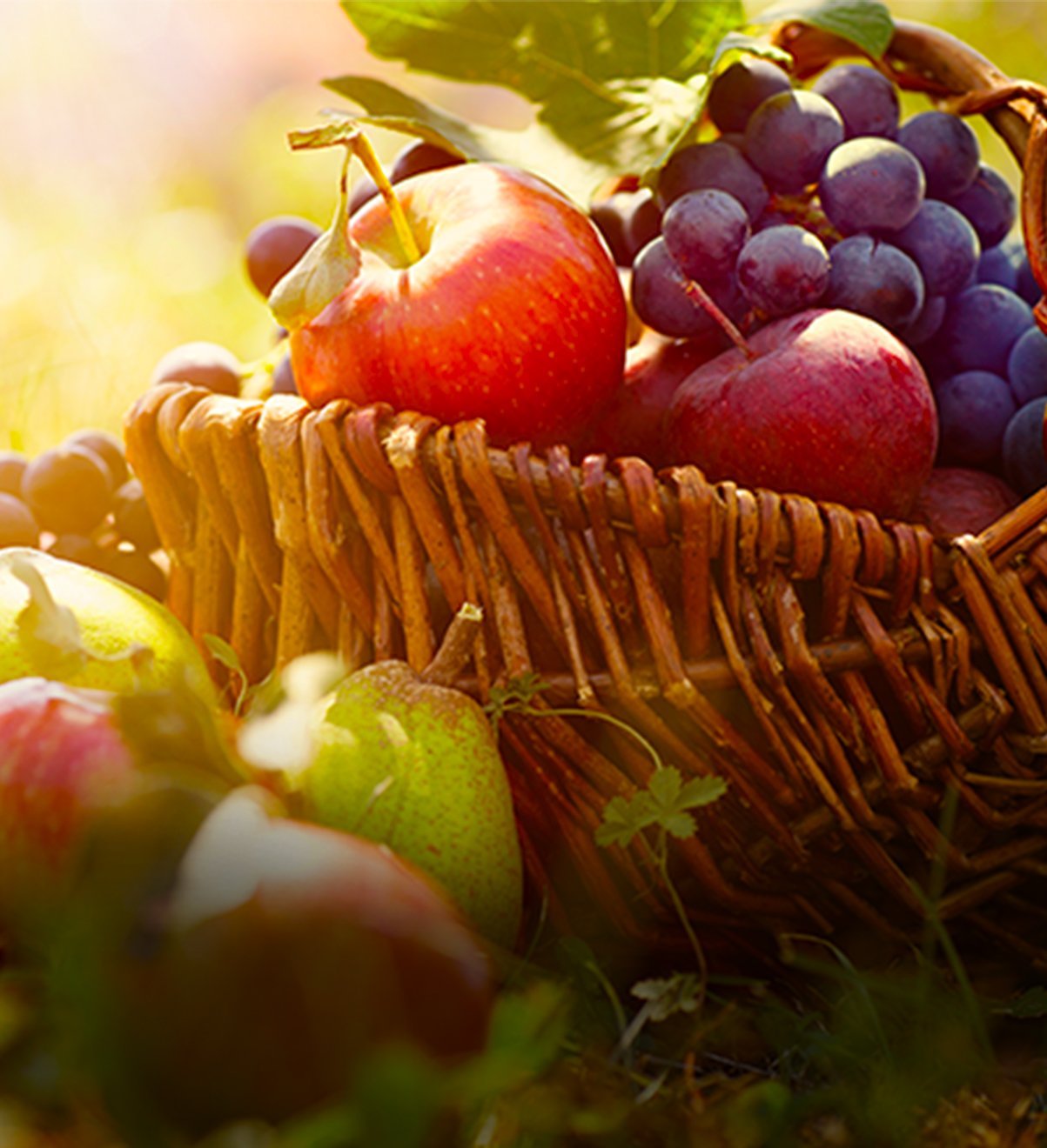 Produse protectia plantelor