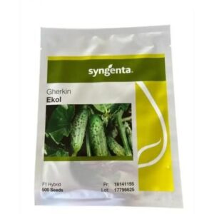 SEMINTE CASTRAVETI EKOL F1 NETRATAT 500SEM SYN