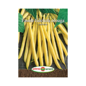 SEMINTE FASOLE OLOAGA MAXIDOR 250G - PS