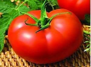 SEMINTE TOMATE KIVELI 100SEM