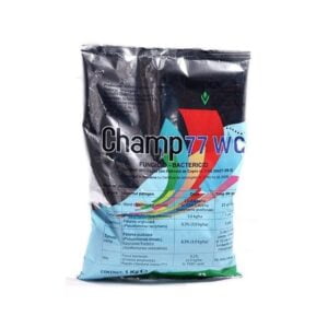Champ 77 WG