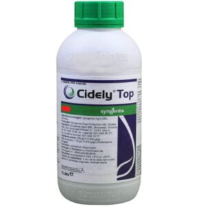 Cidely Top