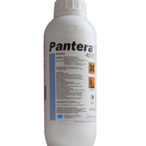 PANTERA 40 EC