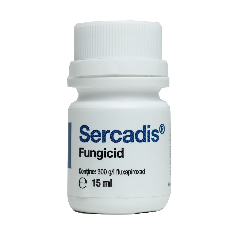 SERCADIS - imagine 2