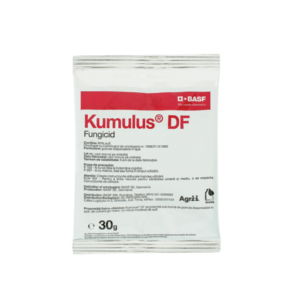 KUMULUS