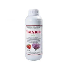 Talsior