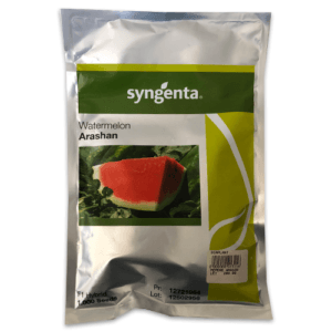 Seminte Pepene verde ARASHAN F1 - 1000 Seminte