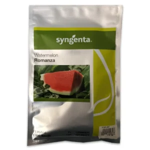 Pepene verde Romanza F1, 1000 seminte