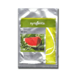 Pepene verde Mirsini F1 1000 seminte