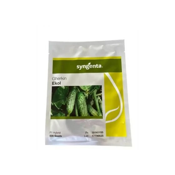 Seminte castraveti Ekol F1 netratat, 500 seminte