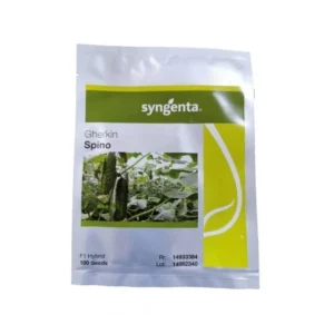 Seminte castraveti Spino F1 netratat, 100 seminte