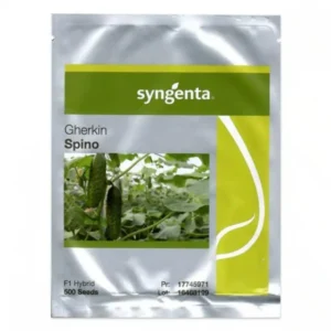 Seminte castraveti Spino F1 netratat, 500 seminte