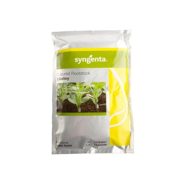 PEPENE VERDE VITALLEY 1000 SEMINTE