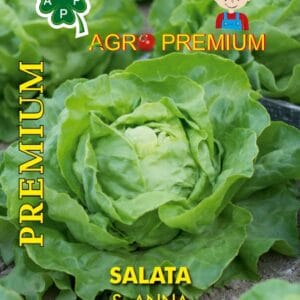 Salata S.Anna