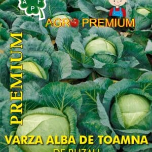 Varza Alba de Toamna